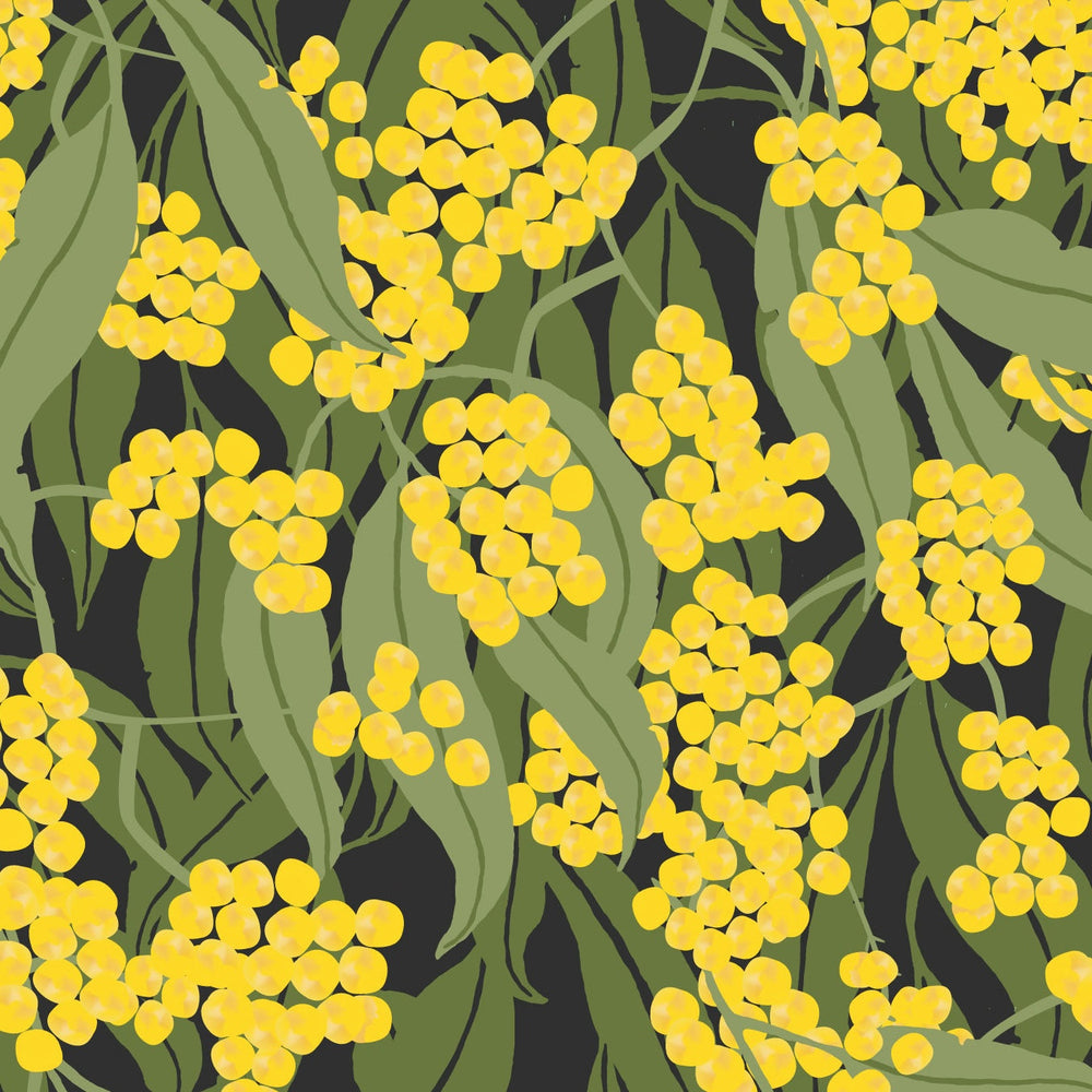 Wattle Gum Moonless Night