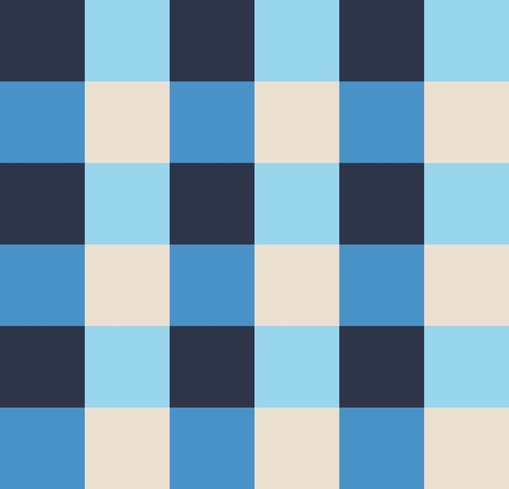 Simple Gingham Dopamine Drift Blue