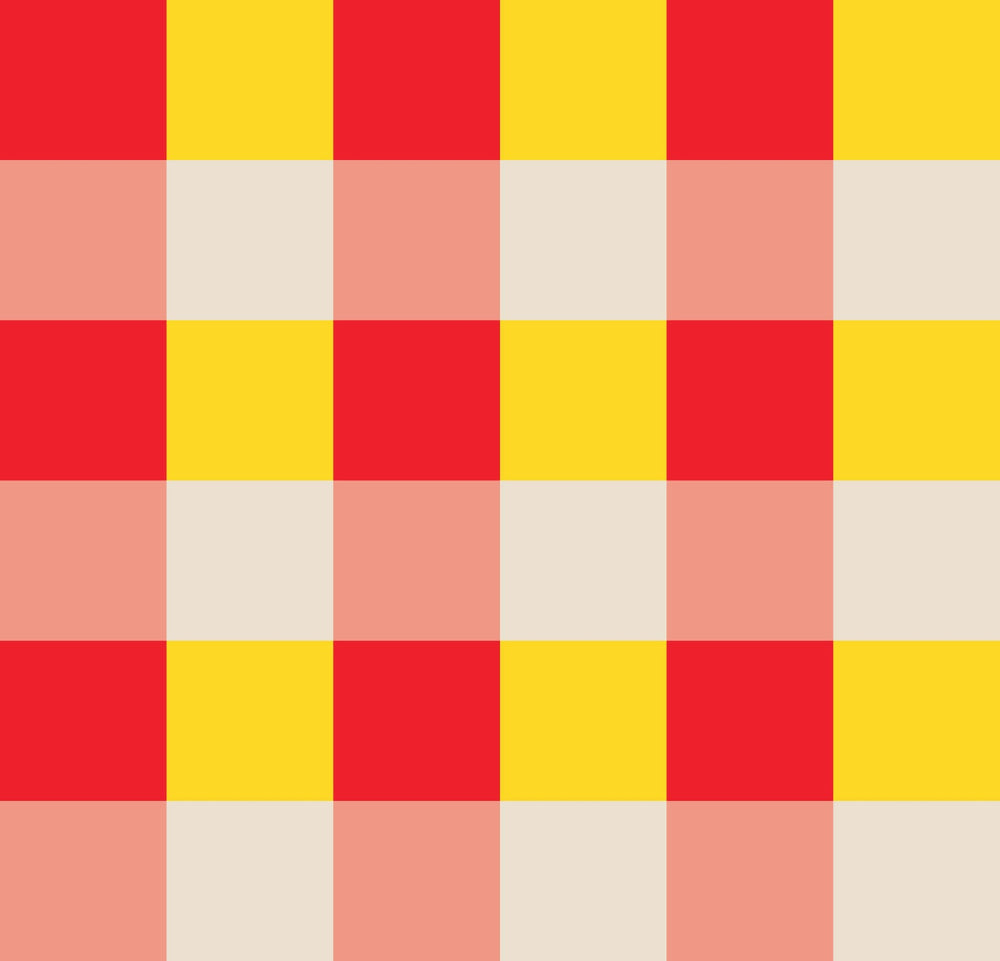Simple Gingham  Dopamine Drift Yellow & Red