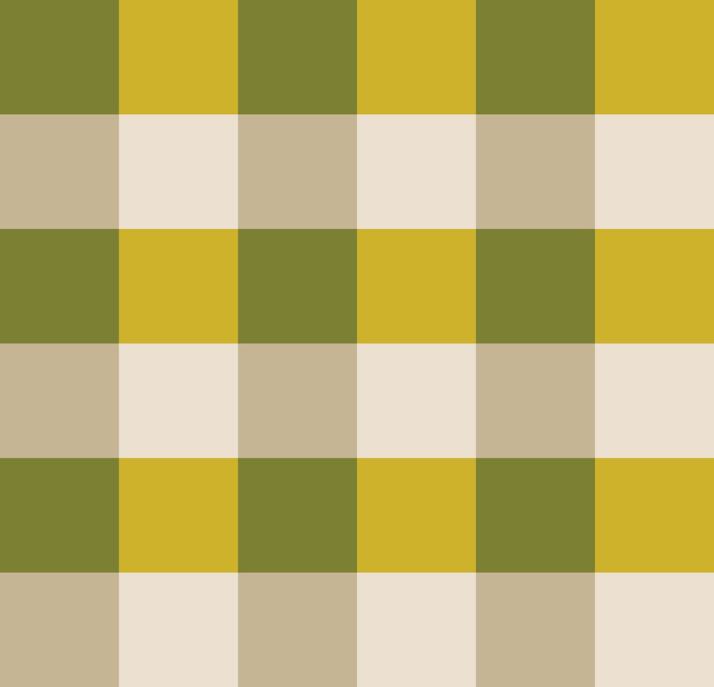 Simple Gingham Terra Solis Mango