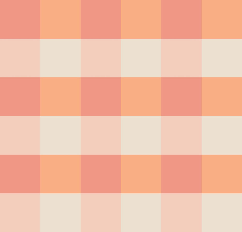 Simple Gingham Terra Solis Peach